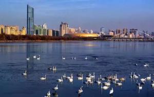 三門(mén)峽又一網(wǎng)紅景點(diǎn)，確定不來(lái)pick一下？